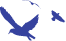 voice-of-gujarat